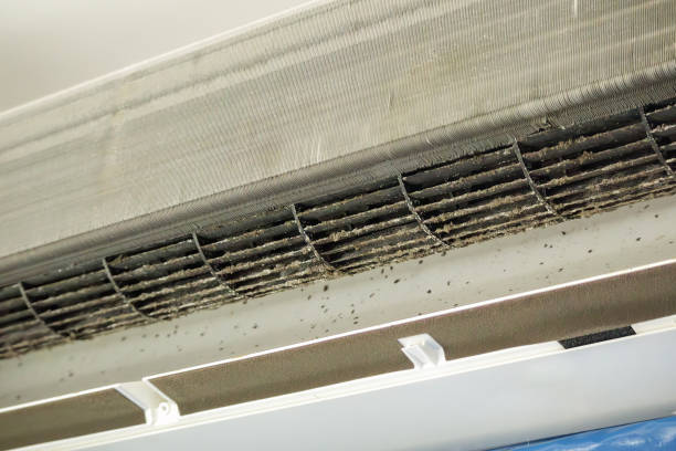 Best Air Duct Cleaning Near Me  in Rshfield Hills, MA